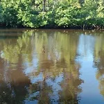 Borowkowa Nad Morzem Darłowo
