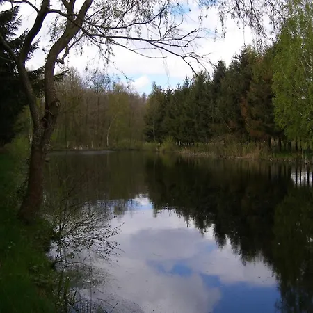 Borowkowa Nad Morzem Darlowo