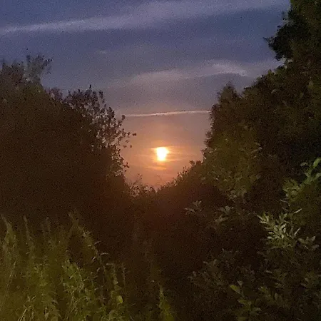 Borowkowa Nad Morzem *