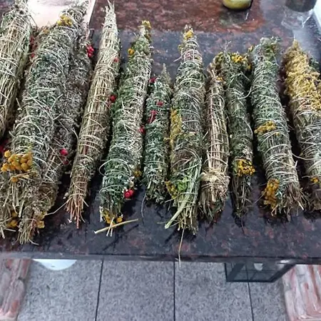 Borowkowa Nad Morzem - Cialo, Umysl, Dusza