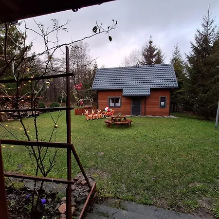Borowkowa Nad Morzem * Darlowo
