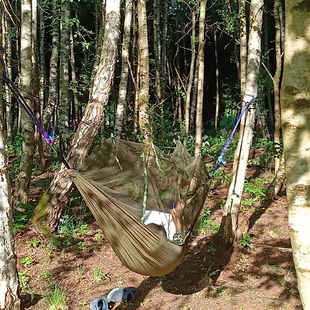 Borowkowa Nad Morzem - Cialo, Umysl, Dusza Tatil Evi *