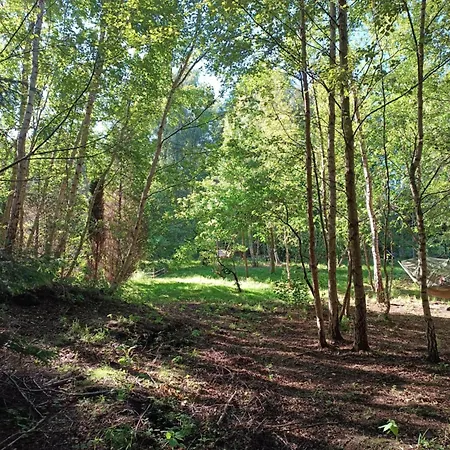 Ferienhaus Borowkowa Nad Morzem Darłowo
