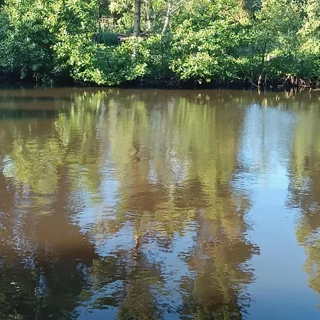 Borowkowa Nad Morzem Darłowo