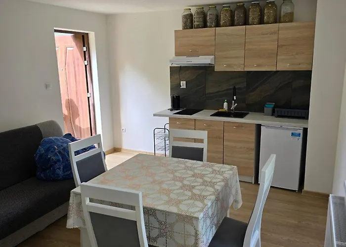 度假居 Borowkowa Nad Morzem *