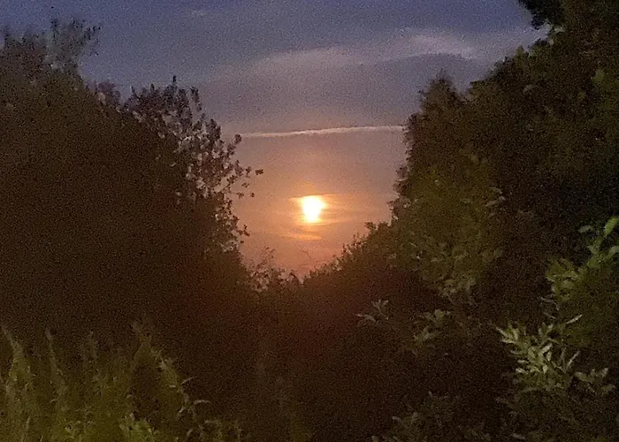 Borowkowa Nad Morzem - Cialo, Umysl, Dusza *