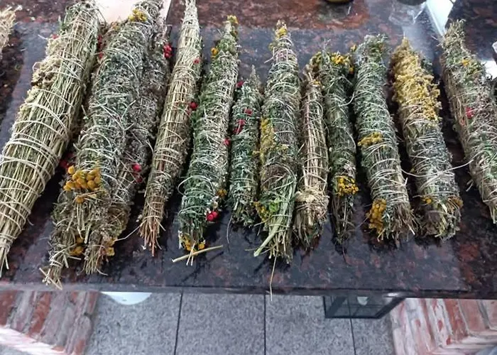 Borowkowa Nad Morzem - Cialo, Umysl, Dusza