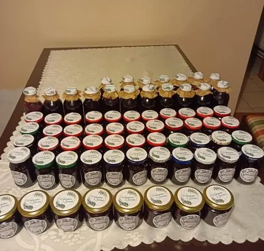 Borowkowa Nad Morzem 度假居 达尔沃沃