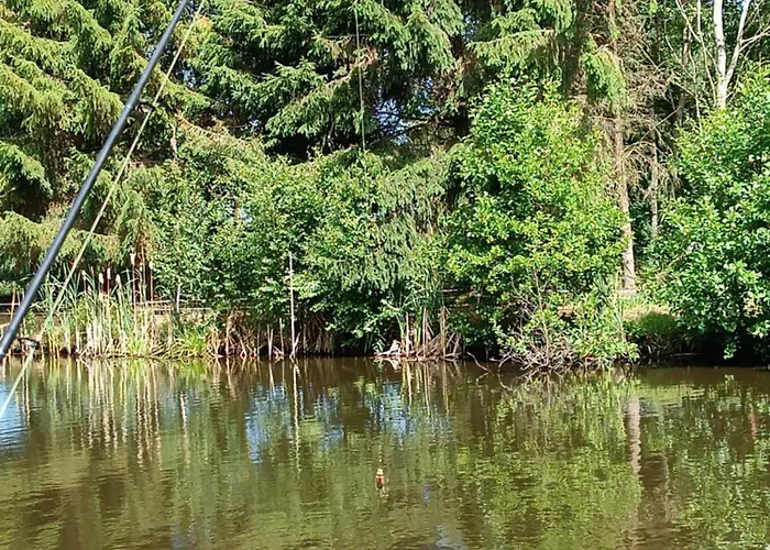 Σπίτι διακοπών Borowkowa Nad Morzem - Cialo, Umysl, Dusza