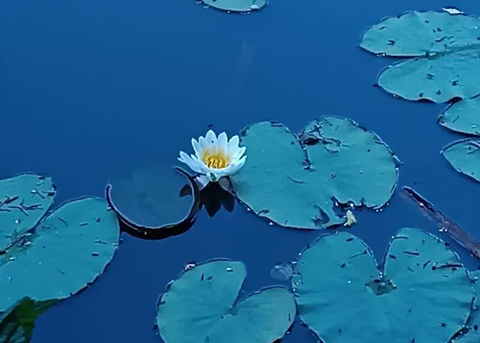 Borowkowa Nad Morzem - Cialo, Umysl, Dusza