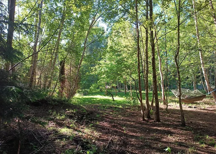 Σπίτι διακοπών Borowkowa Nad Morzem - Cialo, Umysl, Dusza Darłowo