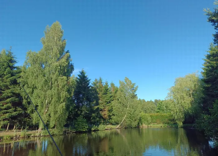 Borowkowa Nad Morzem - Cialo, Umysl, Dusza *