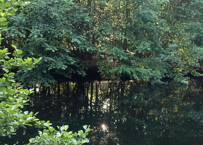 Σπίτι διακοπών Borowkowa Nad Morzem - Cialo, Umysl, Dusza